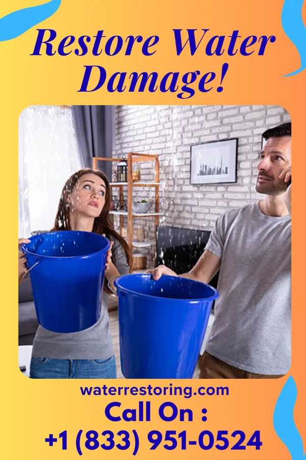 water restoration Shield Water Mitigation Solutions Kankakee