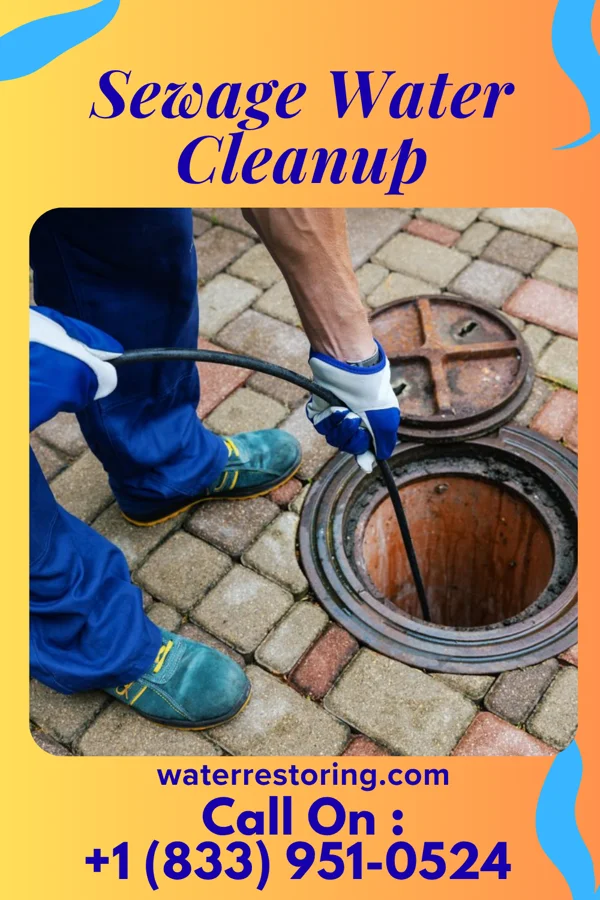 Sewage Water Cleanup in Kankakee, IL